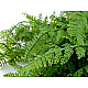 Artificial Fern, green