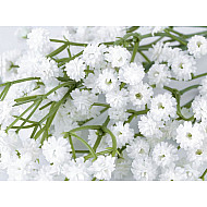 Artificial Baby's Breath Plant Flower, white