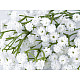 Artificial Babys Breath Plant Flower, white