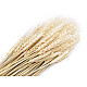 Grain natural bundle, natural light