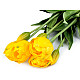 Artificial tulip bouquet, yellow