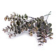 Artificial Eucalyptus Leaf, grey-green, 7 pc.