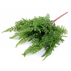 Artificial Fern, green