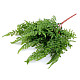 Artificial Fern, green