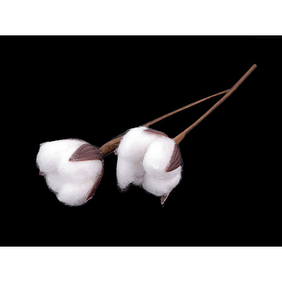 Artificial Cotton Flower, white, 2 pc.