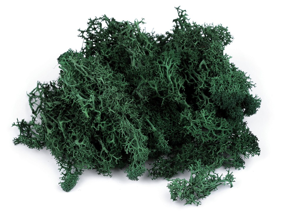 Stabilized / Steamed Moss 20 g in a Box, dark green