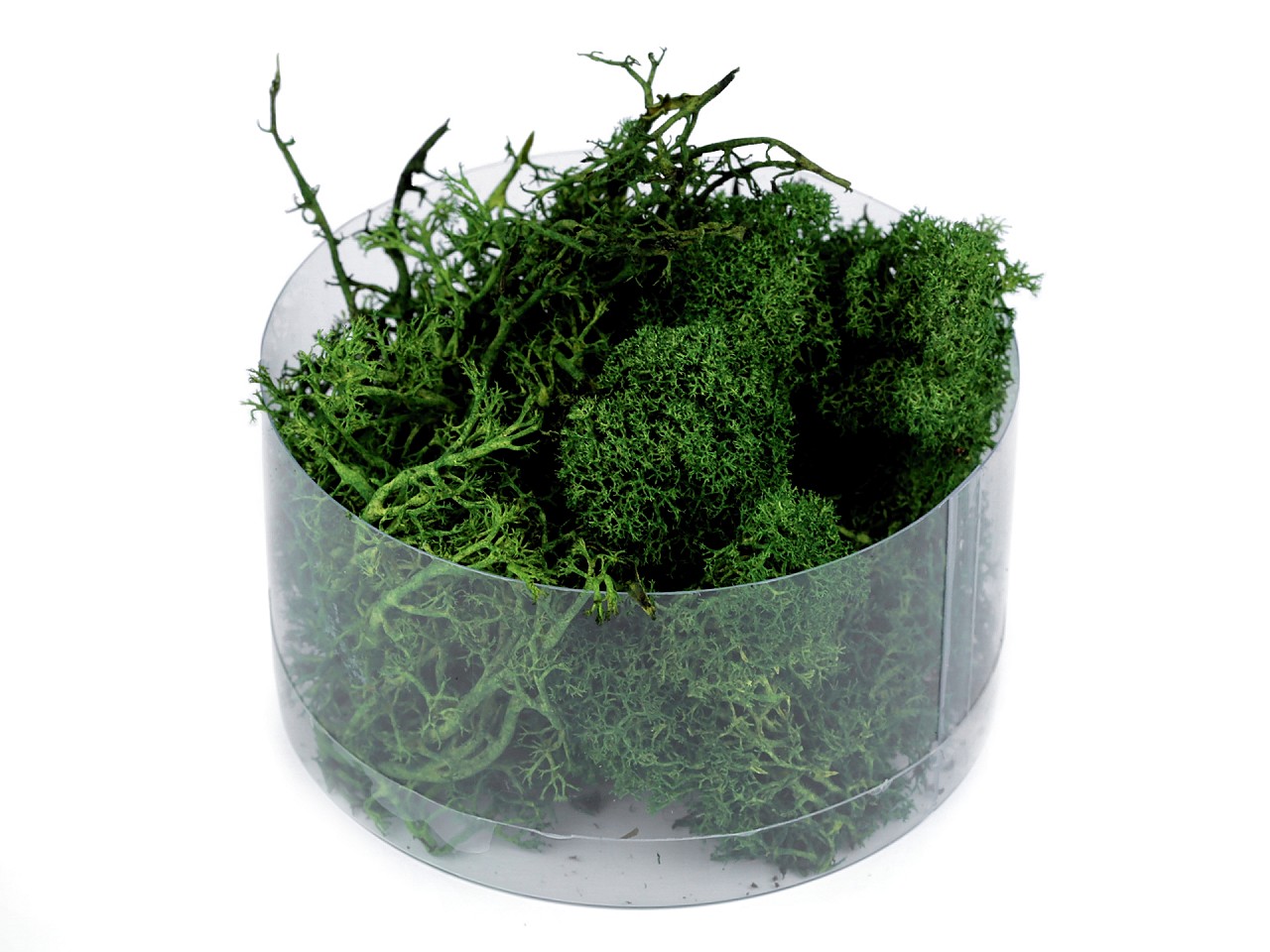 Prepared / stabilized moss 20 g in a box, green