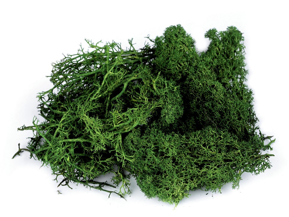 Prepared / stabilized moss 20 g in a box, green