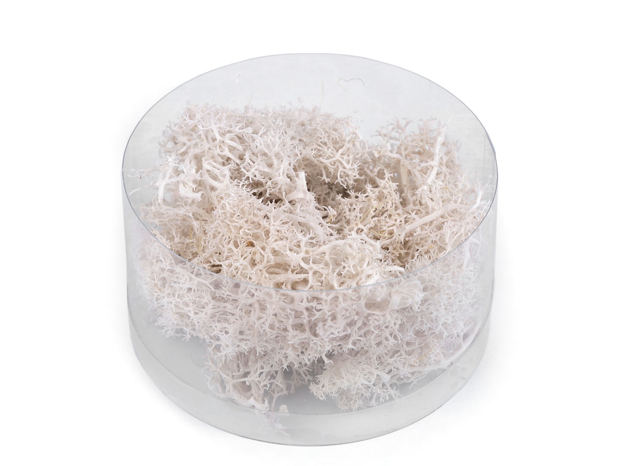 Stabilized / Steamed Moss 20 g in a Box, white natural