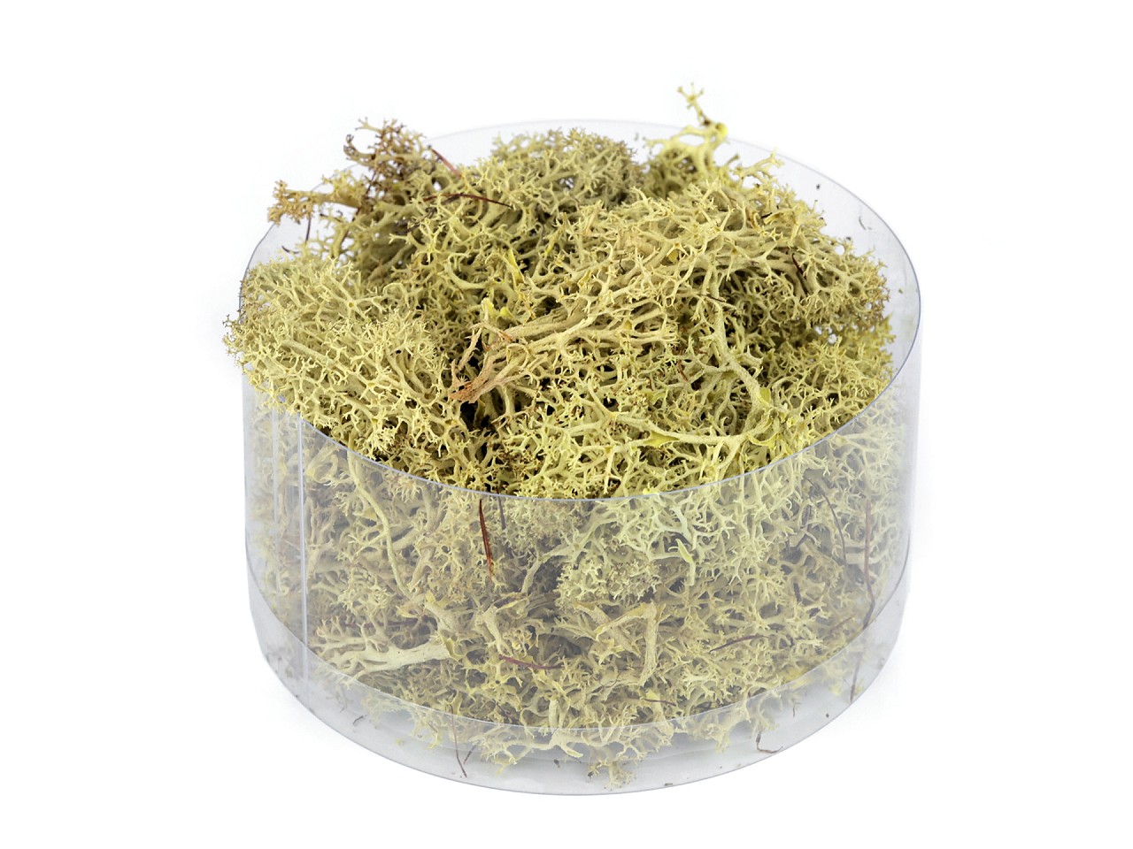 Stabilized / prepared moss 20 g in a box, lightbeige