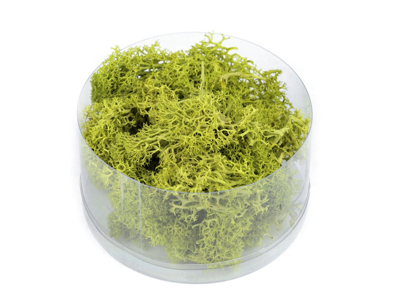 Stabilized / Steamed Moss 20 g in a Box, green light