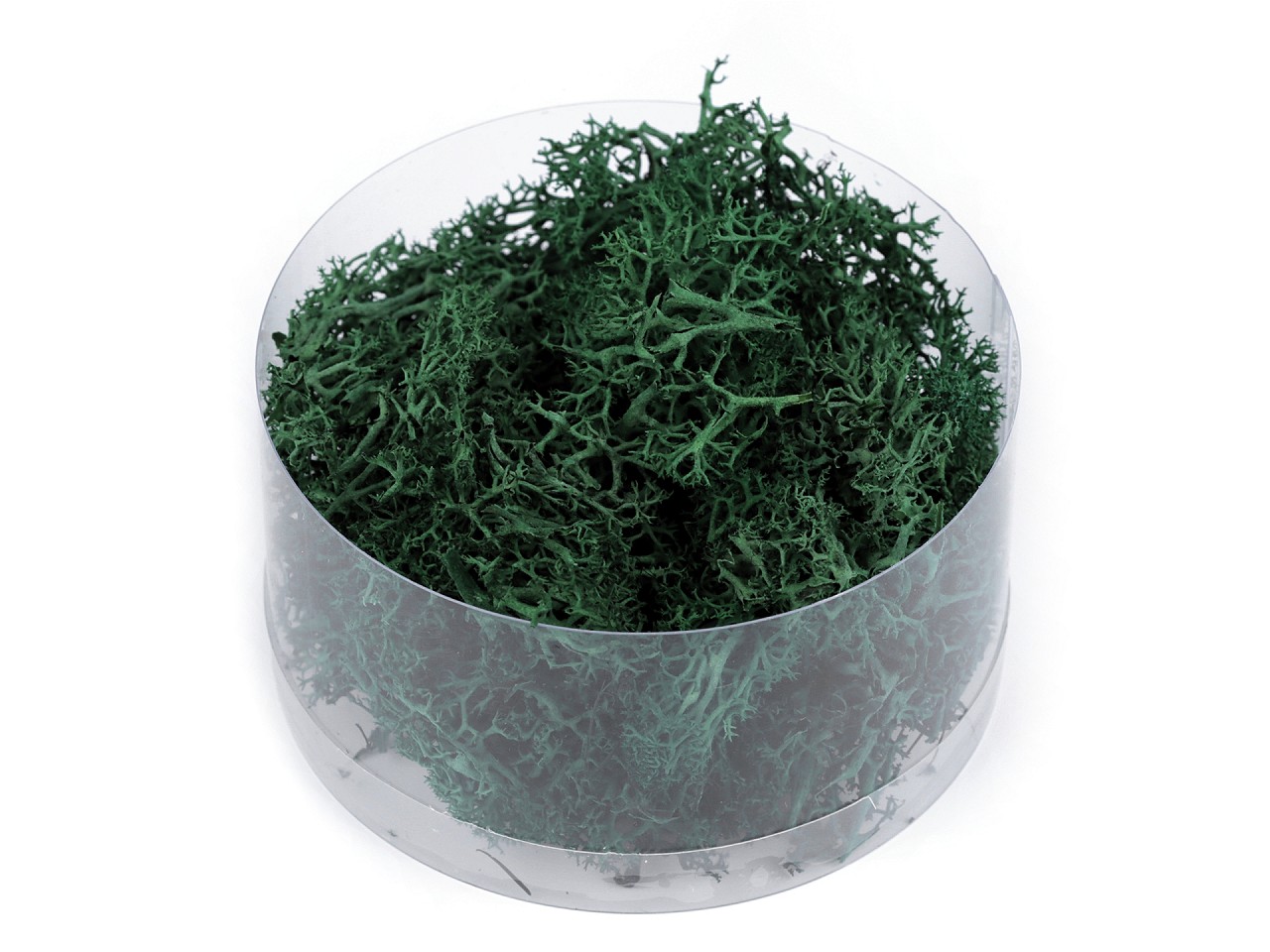 Stabilized / Steamed Moss 20 g in a Box, dark green