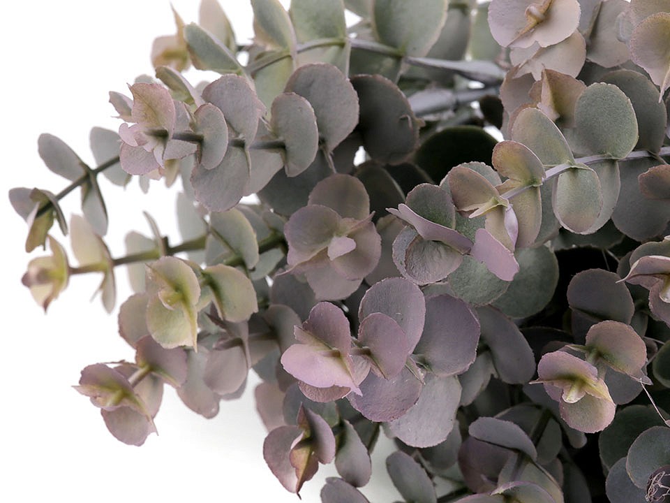 Artificial Eucalyptus Leaf, grey-green, 7 pc.