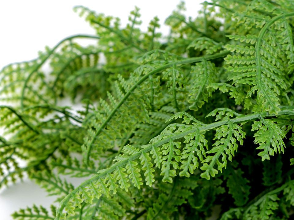 Artificial Fern, green